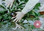 Image of Alien internment facility garden World War 2 Crystal City Texas USA, 1943, second 41 stock footage video 65675072069