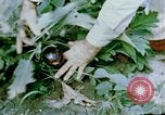 Image of Alien internment facility garden World War 2 Crystal City Texas USA, 1943, second 42 stock footage video 65675072069