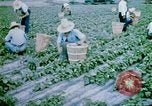 Image of Alien internment facility garden World War 2 Crystal City Texas USA, 1943, second 44 stock footage video 65675072069