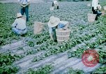 Image of Alien internment facility garden World War 2 Crystal City Texas USA, 1943, second 45 stock footage video 65675072069
