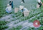Image of Alien internment facility garden World War 2 Crystal City Texas USA, 1943, second 46 stock footage video 65675072069