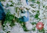 Image of Alien internment facility garden World War 2 Crystal City Texas USA, 1943, second 50 stock footage video 65675072069