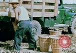 Image of Alien internment facility garden World War 2 Crystal City Texas USA, 1943, second 52 stock footage video 65675072069