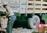 Image of Alien internment facility garden World War 2 Crystal City Texas USA, 1943, second 53 stock footage video 65675072069