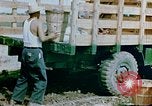 Image of Alien internment facility garden World War 2 Crystal City Texas USA, 1943, second 55 stock footage video 65675072069