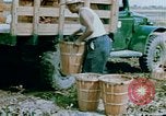 Image of Alien internment facility garden World War 2 Crystal City Texas USA, 1943, second 56 stock footage video 65675072069