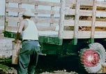 Image of Alien internment facility garden World War 2 Crystal City Texas USA, 1943, second 58 stock footage video 65675072069