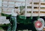 Image of Alien internment facility garden World War 2 Crystal City Texas USA, 1943, second 60 stock footage video 65675072069