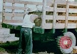 Image of Alien internment facility garden World War 2 Crystal City Texas USA, 1943, second 61 stock footage video 65675072069