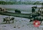 Standbild Erholung durch Japanese-Americans verlegt Crystal City Texas USA, 1943, aus Sekunde 3 historischem Filmmaterial Videoclip 65675072072