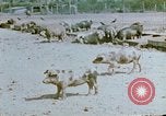 Standbild Erholung durch Japanese-Americans verlegt Crystal City Texas USA, 1943, aus Sekunde 6 historischem Filmmaterial Videoclip 65675072072