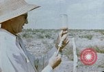 Standbild Erholung durch Japanese-Americans verlegt Crystal City Texas USA, 1943, aus Sekunde 12 historischem Filmmaterial Videoclip 65675072072