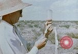Standbild Erholung durch Japanese-Americans verlegt Crystal City Texas USA, 1943, aus Sekunde 14 historischem Filmmaterial Videoclip 65675072072