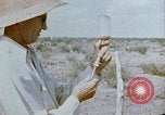 Standbild Erholung durch Japanese-Americans verlegt Crystal City Texas USA, 1943, aus Sekunde 15 historischem Filmmaterial Videoclip 65675072072