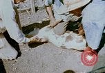 Standbild Erholung durch Japanese-Americans verlegt Crystal City Texas USA, 1943, aus Sekunde 17 historischem Filmmaterial Videoclip 65675072072