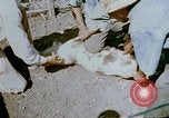 Standbild Erholung durch Japanese-Americans verlegt Crystal City Texas USA, 1943, aus Sekunde 18 historischem Filmmaterial Videoclip 65675072072