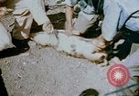 Standbild Erholung durch Japanese-Americans verlegt Crystal City Texas USA, 1943, aus Sekunde 19 historischem Filmmaterial Videoclip 65675072072