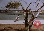 Image of Alien internment swimming pool during World War 2 Crystal City Texas USA, 1943, second 5 stock footage video 65675072074