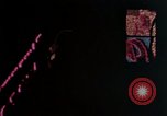 Image of neon signs United States USA, 1958, second 10 stock footage video 65675072079