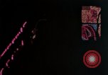 Image of neon signs United States USA, 1958, second 11 stock footage video 65675072079