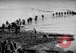 Immagine di Marina degli Stati Uniti Task Force 58 nella seconda guerra mondiale Okinawa isole Ryukyu, 1945, secondo 36 filmato di repertorio 65675072095