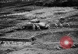 Immagine di Marina degli Stati Uniti Task Force 58 nella seconda guerra mondiale Okinawa isole Ryukyu, 1945, secondo 59 filmato di repertorio 65675072095