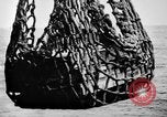 Immagine di Marina degli Stati Uniti Task Force 58 Okinawa isole Ryukyu, 1945, secondo 4 filmato di repertorio 65675072097