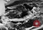 Image of United States Navy Task Force 58 Okinawa Ryukyu Islands, 1945, second 40 stock footage video 65675072098