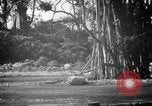 Image of 314th Bombardment Wing Guam Mariana Islands, 1945, second 38 stock footage video 65675072102