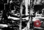 Image Chinois victimes évacuées la Birmanie, 1943, de la seconde 41 séquences d'archives historiques vidéo 65675072107