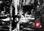 Image Chinois victimes évacuées la Birmanie, 1943, de la seconde 42 séquences d'archives historiques vidéo 65675072107