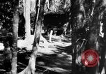 Image Chinois victimes évacuées la Birmanie, 1943, de la seconde 43 séquences d'archives historiques vidéo 65675072107