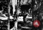 Image Chinois victimes évacuées la Birmanie, 1943, de la seconde 46 séquences d'archives historiques vidéo 65675072107