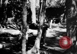 Image Chinois victimes évacuées la Birmanie, 1943, de la seconde 47 séquences d'archives historiques vidéo 65675072107