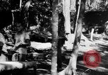 Image Chinois victimes évacuées la Birmanie, 1943, de la seconde 49 séquences d'archives historiques vidéo 65675072107