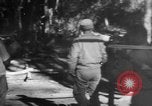 Image Chinois victimes évacuées la Birmanie, 1943, de la seconde 53 séquences d'archives historiques vidéo 65675072107