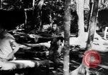 Image Chinois victimes évacuées la Birmanie, 1943, de la seconde 59 séquences d'archives historiques vidéo 65675072107