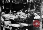 Image Chinois victimes évacuées la Birmanie, 1943, de la seconde 62 séquences d'archives historiques vidéo 65675072107