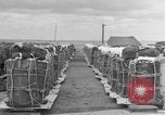 Standbild Bekämpfung Cargo Japan, 1951, aus Sekunde 17 historischem Filmmaterial Videoclip 65675072149