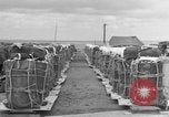 Standbild Bekämpfung Cargo Japan, 1951, aus Sekunde 18 historischem Filmmaterial Videoclip 65675072149