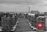 Standbild Bekämpfung Cargo Japan, 1951, aus Sekunde 23 historischem Filmmaterial Videoclip 65675072149