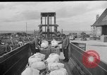 Image of combat cargo Japan, 1951, second 3 stock footage video 65675072151