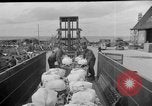 Image of combat cargo Japan, 1951, second 7 stock footage video 65675072151