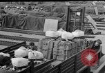 Image of combat cargo Japan, 1951, second 32 stock footage video 65675072151