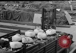 Image of combat cargo Japan, 1951, second 35 stock footage video 65675072151