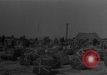 Image of combat cargo Japan, 1951, second 9 stock footage video 65675072155