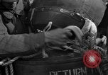 Image of combat cargo Japan, 1951, second 21 stock footage video 65675072155