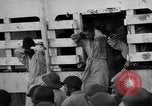 Image of Japanese mercy ship South Pacific Ocean, 1945, second 43 stock footage video 65675072160