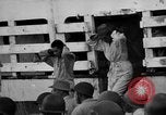 Image of Japanese mercy ship South Pacific Ocean, 1945, second 44 stock footage video 65675072160