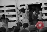 Image of Japanese mercy ship South Pacific Ocean, 1945, second 45 stock footage video 65675072160